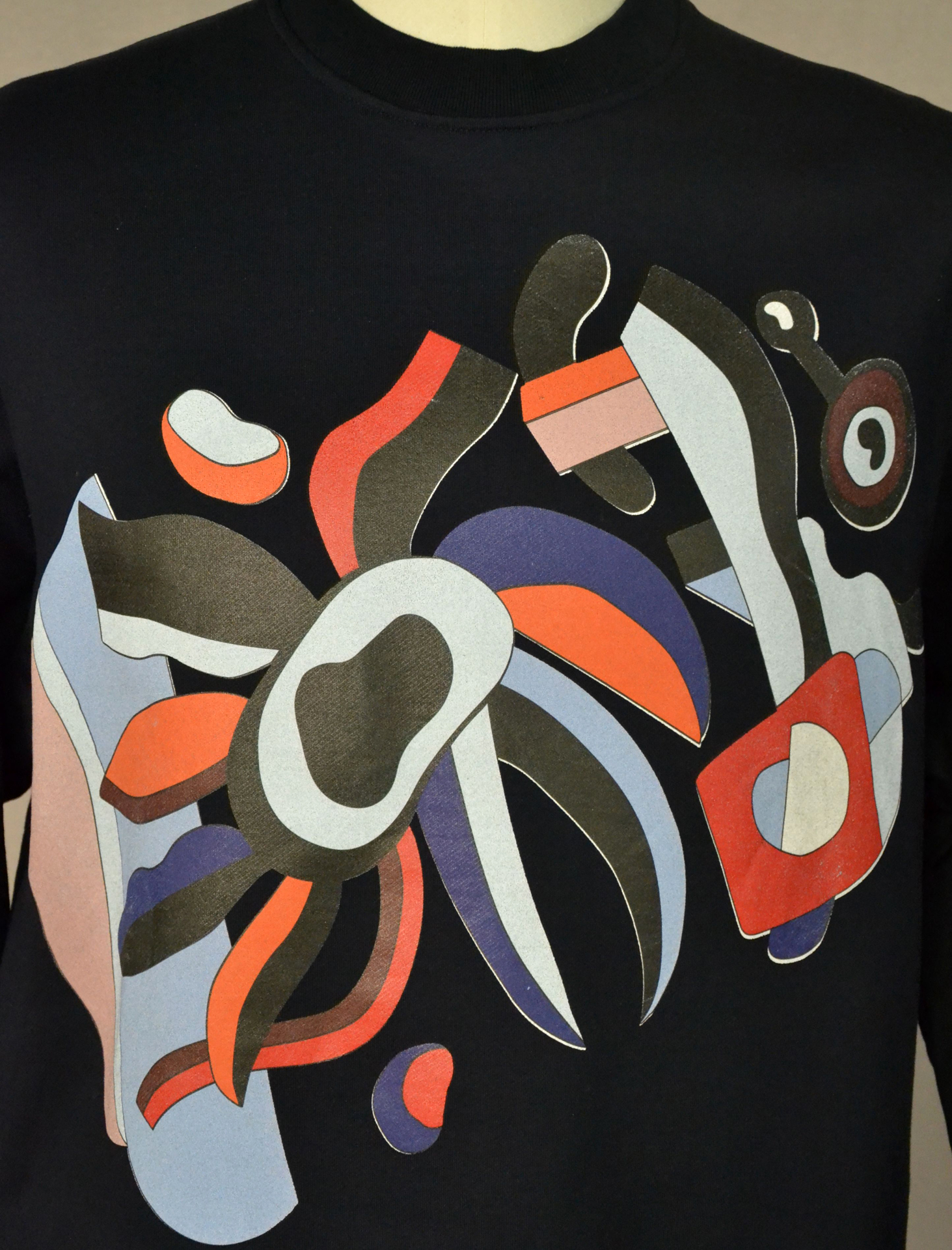 Cotton fleece crew neck with rubberised multicoloured print
